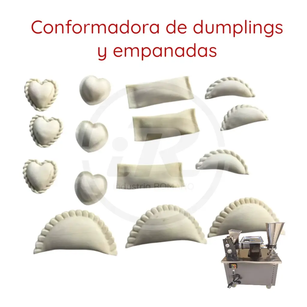 Algunos elaborados con conformadora de dumpling y empanadas -  iR.webp