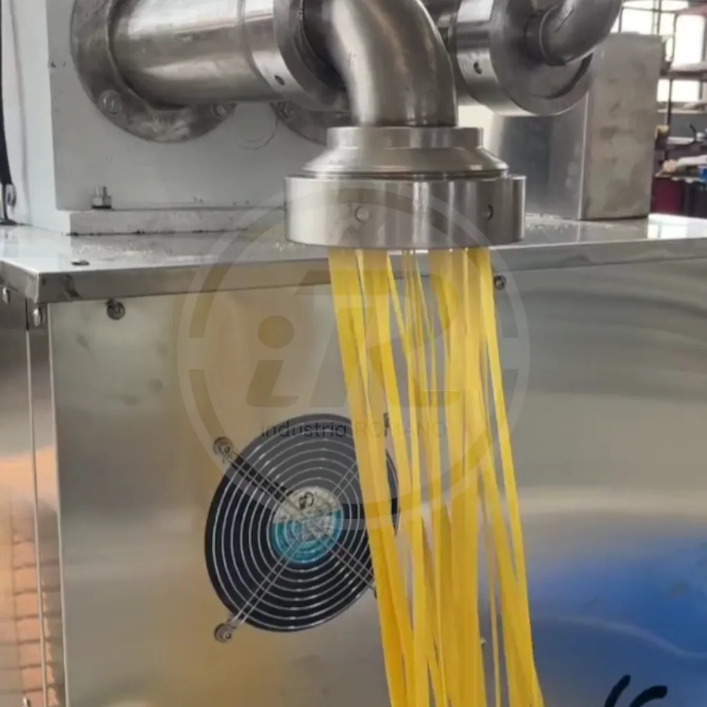 Vista produccion fideos cinta con extrusora automática continua 150 kg h. iR.webp