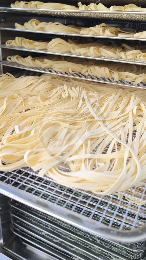 Vista carga fideos cámara de secado iR.webp