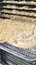 Vista carga fideos cámara de secado iR.webp